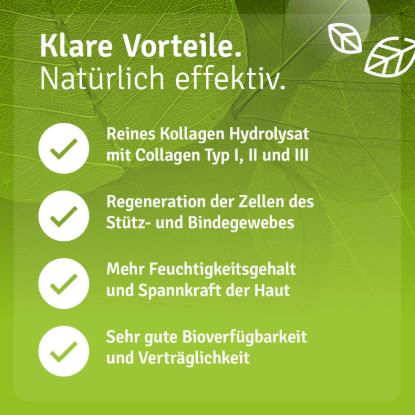 Collagen Powder - Collagen Hydrolyzate