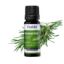 Rosemary Beer