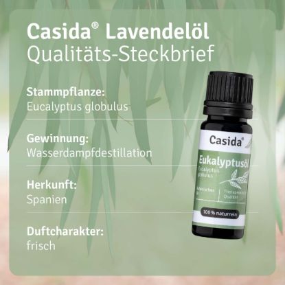 Eukalyptusöl