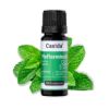 Peppermint Oil