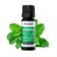 Peppermint Oil