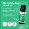 Peppermint Oil