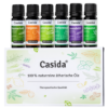 TOP 6 Essential Oils Set