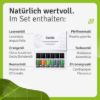 TOP 6 Essential Oils Set