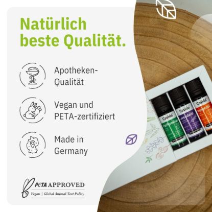 TOP 6 Essential Oils Set