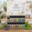 TOP 16 Essential Oils Set