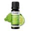 Bergamot Oil