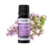 Clary Sage Oil