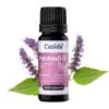 Patchouli Oil