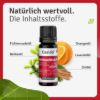 Christmas Fragrance Oil Merry Christmas