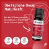 Christmas Fragrance Oil Merry Christmas
