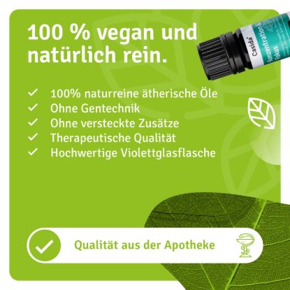 Fragrance Blend Concentration & Focus