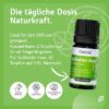 Fragrance Blend Freed Head