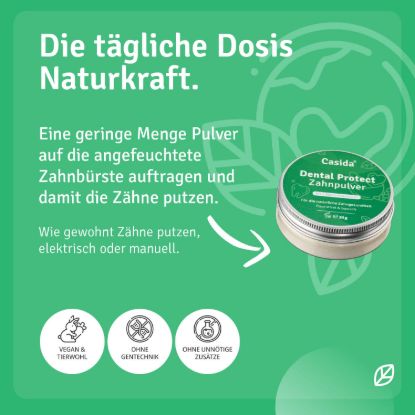 Dental Protect Zahnpulver