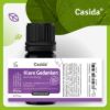 Fragrance Blend Clear Thoughts