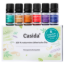 Fragrance Blends TOP 6 Set