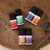 Fragrance Blends TOP 6 Set