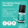 Set Lernfreude