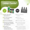 Forest Air Set - Essential Oil Set with Spruce Needle, Stone Pine, & Peppermint Oil