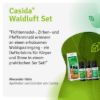Forest Air Set - Essential Oil Set with Spruce Needle, Stone Pine, & Peppermint Oil