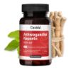Anti-Stress Set
