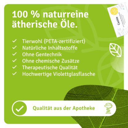 TOP 6 Essential Oils Set - Summer Edition