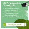 Citronella Beer