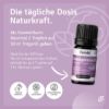 Rose Geranium Oil - Geranium Oil