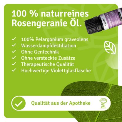 Rose Geranium Oil - Geranium Oil