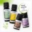 Olfactory Training with Essential Oils
