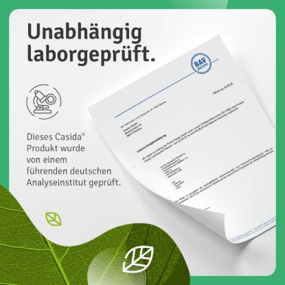 Lactobacillus Gasseri