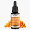 Sea Buckthorn Oil - Sea Buckthorn Pulp Oil