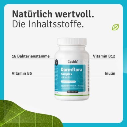 Intestinal Flora Complex with Inulin