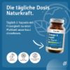 Omega 3 Vegan from Algae Oil