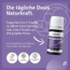 Organic Lavender Oil for Internal Consumption