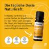 Casida Repair & Protect Complete Foot Care Set