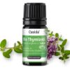 Organic Thyme Oil Linalool