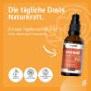 Carrot Oil Skin & Hair