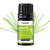 Vetiver Oil