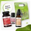 Energy & Balance Set