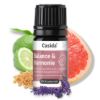 Energy & Balance Set