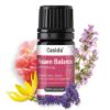 Women's Strength & Balance Set + FREE Rose Water