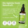 Metabolism Active Set + FREE Organic Lemon Oil