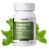 Metabolism Active Set + FREE Organic Lemon Oil