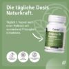 Metabolism Active Set + FREE Organic Lemon Oil