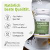 Oregano Öl mit Schwarzkümmelöl Kapseln