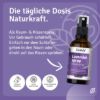 Premium Set mit 12 ätherischen Öle + Geschenke