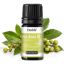 Bio Litsea cubeba Öl