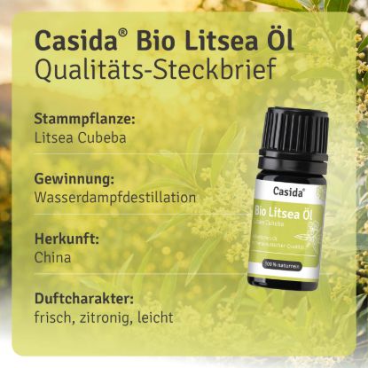 Bio Litsea cubeba Öl