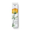 Hydrating Hand Cream – Limited Edition